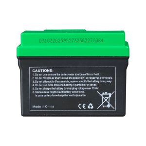 Аккумулятор FUBAG li-ion 3Ah для инверторного генератора TI 11000 A ES (арт. 646211) купить в Самаре